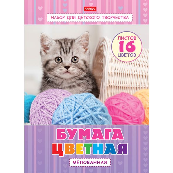 Набор бумаги цветной Мелованной 16л 16 цв. А4ф Обложка мел.картон на скобе-Котенок с клубочком- , 